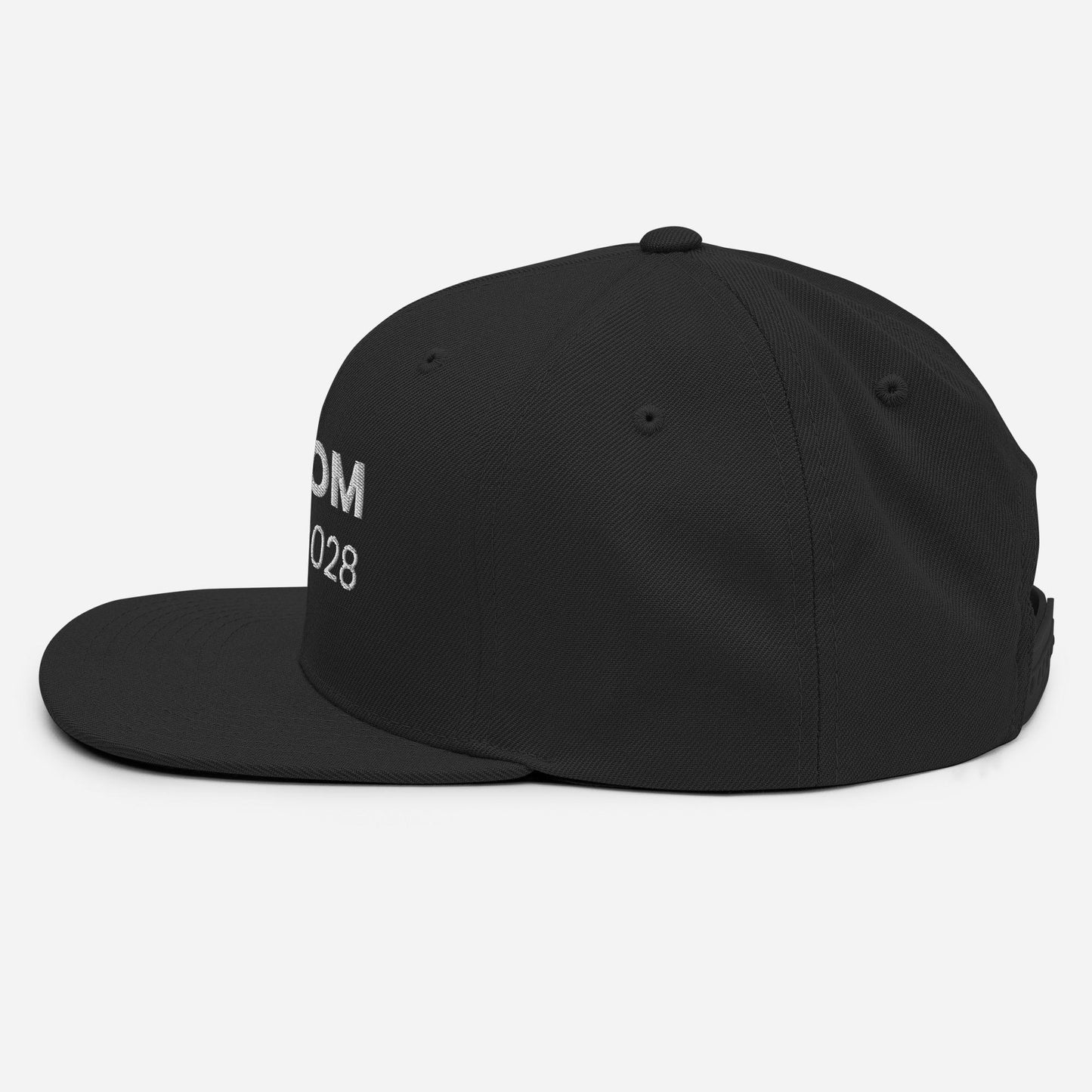 Newsom 2028 | Snapback Hat | Gavin Newsom